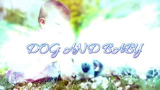 Baby with Bernese Mountain Dog smiling and playing - Dog loves Baby Compilation