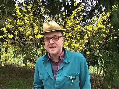 Das Kuckucksei - mit dem Ford Taunus zum -Kind pinkeln lassen-