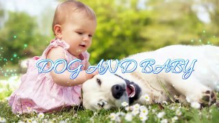 Golden Retriever Dog makes Baby laugh very happy - Dog loves Baby Compilation