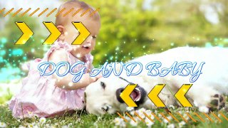 Pug Dog Loves Baby They Share Funny Playtime Moments