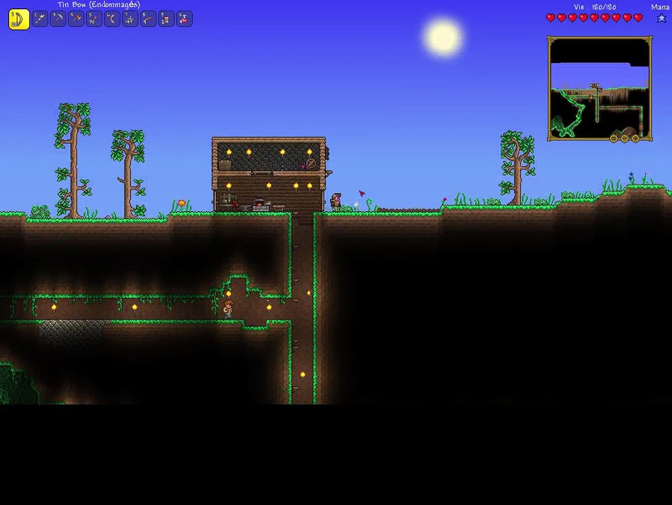 LIVE TERRARIA