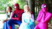 Frozen Elsa Bitten by VAMPIRE! - Spiderman Hulk Joker Pink Spidergirl Mini elsa Toys! Superhero Fun