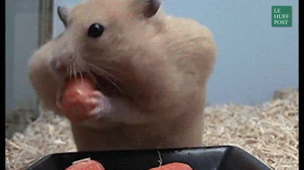 Sept astuces pour manger plus lentement