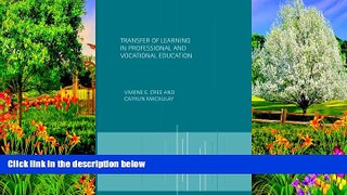 Big Sales  Transfer of Learning in Professional and Vocational Education: Handbook for Social Work