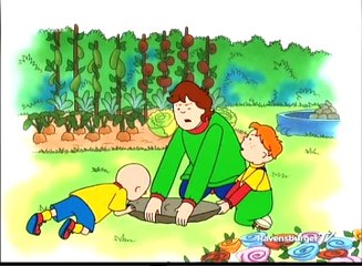 Caillou S01e32b - Caillous Grosse Entdeckung