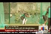 নতুন মুস্তাফিজ আসছে বাংলাদেশ দলে | Bd Cricket News 2016 | Bd Sports |