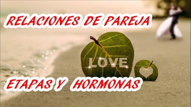 ¿CUÁNTO DURA EL AMOR? SUSTANCIAS QUÍMICAS QUE LO PROVOCAN