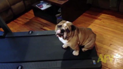 zayıflamak için spor yapıyor