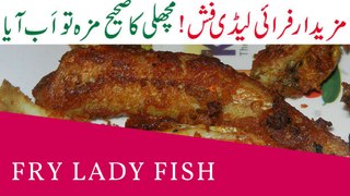 Fry Lady Fish
