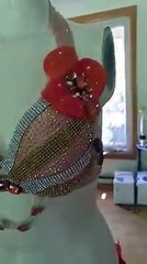 Cassandra Fox - Selling my sparkly and unique golden