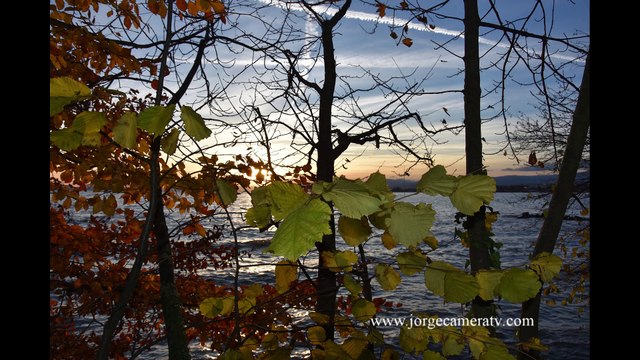 L'automne en Suisse et ses magnifiques couleurs . entre Lausanne et Montreux