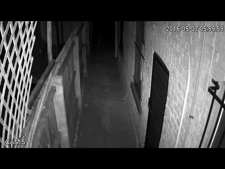 Burglar Falls on Head