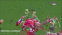 Bryan Pele Goal HD - Brest 2-3 Niort - 21.11.2016