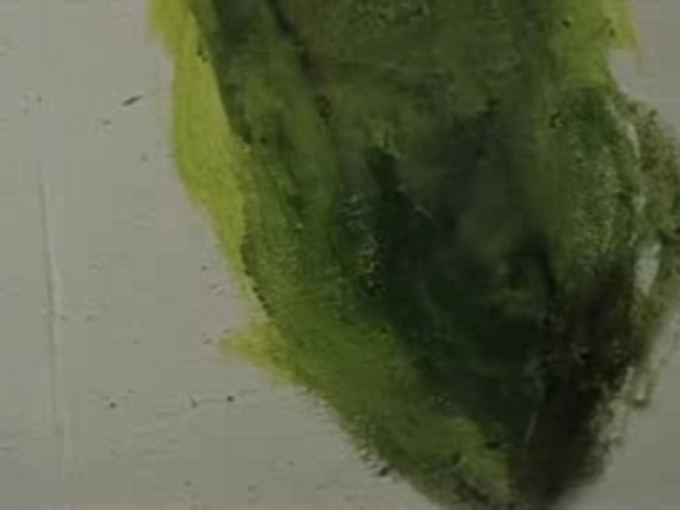 Les essences magiques de la nature
