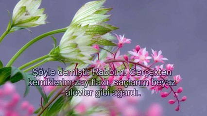 Ağlatan Meryem Suresi - Kuran ancak bu kadar güzel okunur