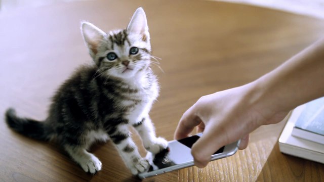 GoodBase30' LEEMINHO 20161121