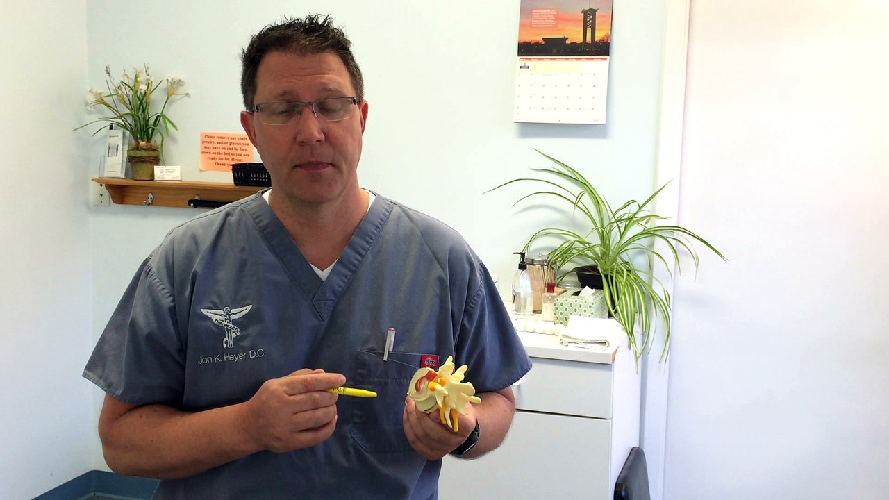 Chiropractic Low Back Pain Relief Dr Heyer