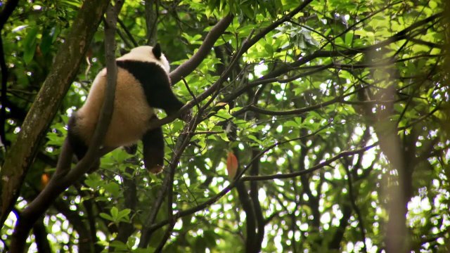 Простак за границей - 3 сезон 3 серия