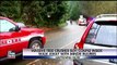 Miraculous escape after massive tree crushes SUV