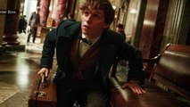 'Fantastic Beasts' Box Office