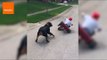 Friendly Rottweiler 'Helps' Drive Trike