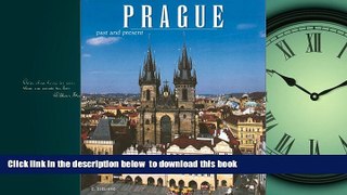 Read book  Prague: Past and Present BOOK ONLINE