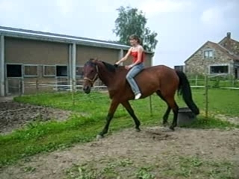 GEVES LE 03-06-07 IV