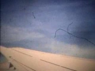 DJ Shadow -Organ donor