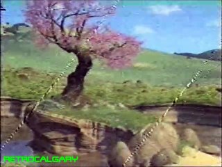 A Bug's Life On Video Commercial 1999