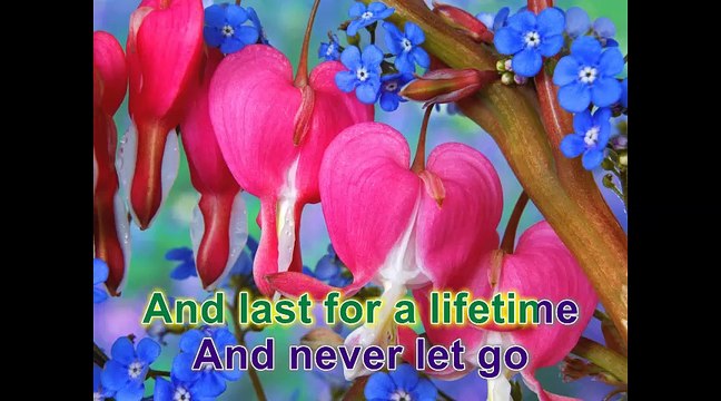 My heart Will Go On Karaoke