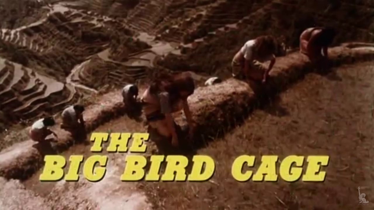 THE BIG BIRD CAGE (1972) Trailer Vidéo Dailymotion