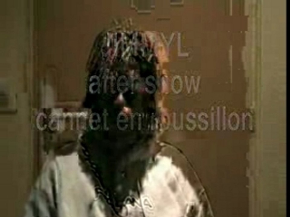 After show canet en roussillon