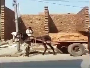 Japanese technology is in danger