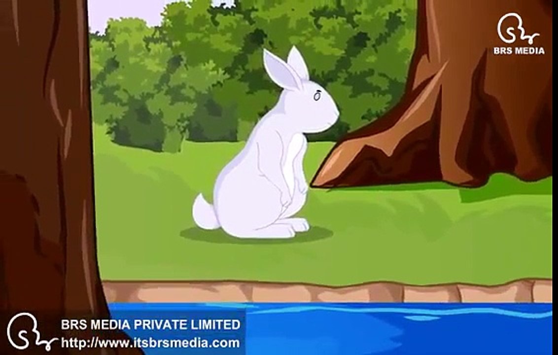 KACHUA AUR KHARGOSH....THE HARE AND THE TORTOISE KIDS URDU-HINDI CARTOONS