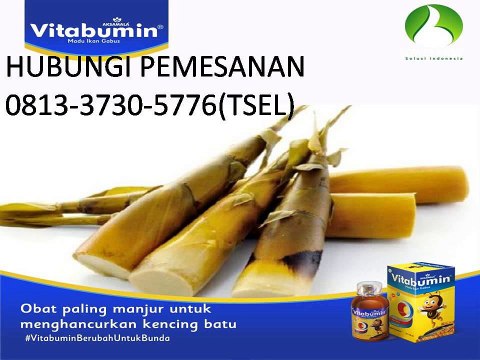 0813-3730-5576(TSEL) - Nutrisi Tulang