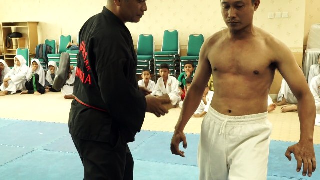 Ancient Indonesian martial arts seeks global spotlight