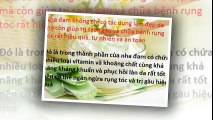 Chữa nấm da đầu và rụng tóc bằng cây nha đam hiệu quả vô cùng