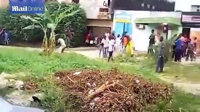 Ce mec se fait défoncer et jeter en l'air par une vache super énervée en Inde