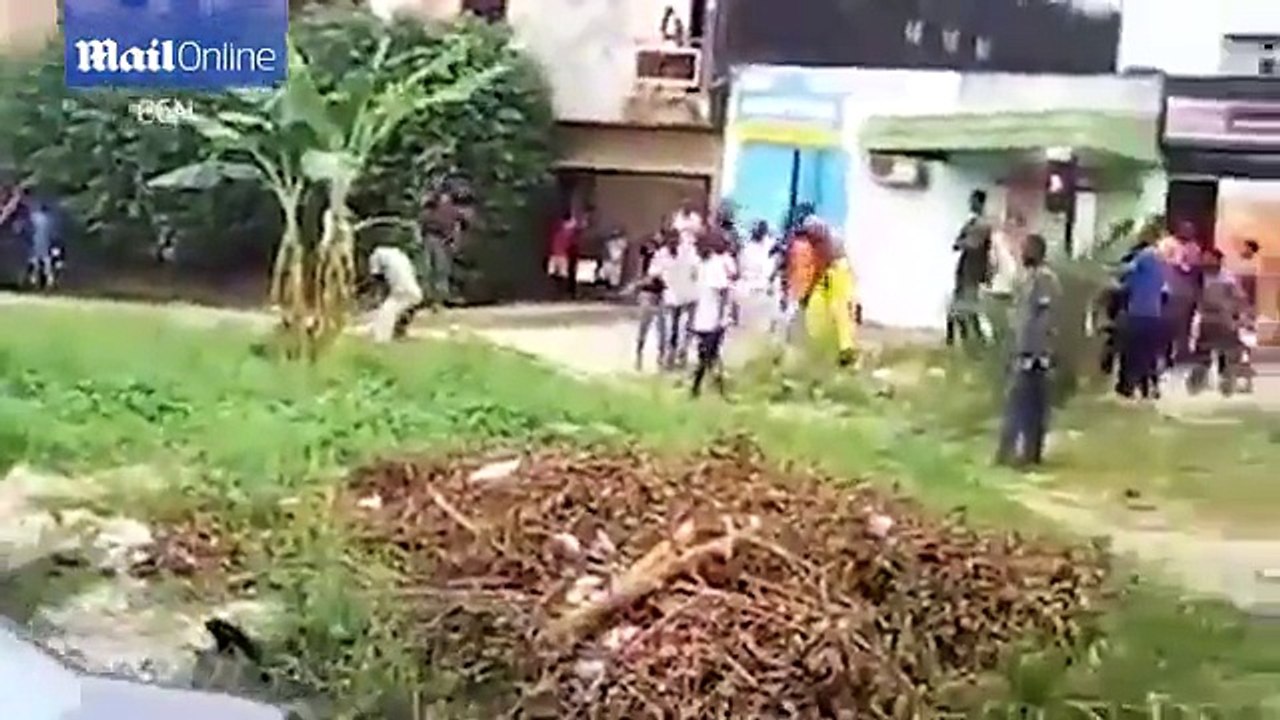 Ce mec se fait défoncer et jeter en l'air par une vache super énervée en Inde