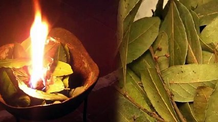 Burn some bay leaves in your house and this will happen in just 10 minutes. Amazing