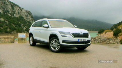 Essai - Skoda Kodiaq 2017, l'ours bien léché