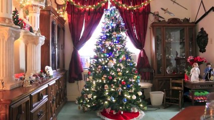 Christmas Expectations Vs. Reality!