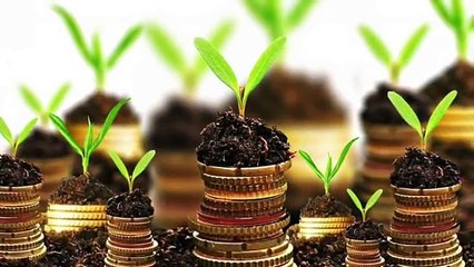 42. He did this to attract money to his house. Look what happened. Awesome