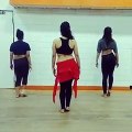 Sexy belly Dance group indian(Meher Malik Indian Belly Dancer )
