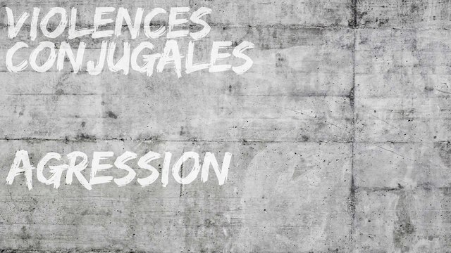 Plan de mobilisation et de lutte contre les violences faites aux femmes