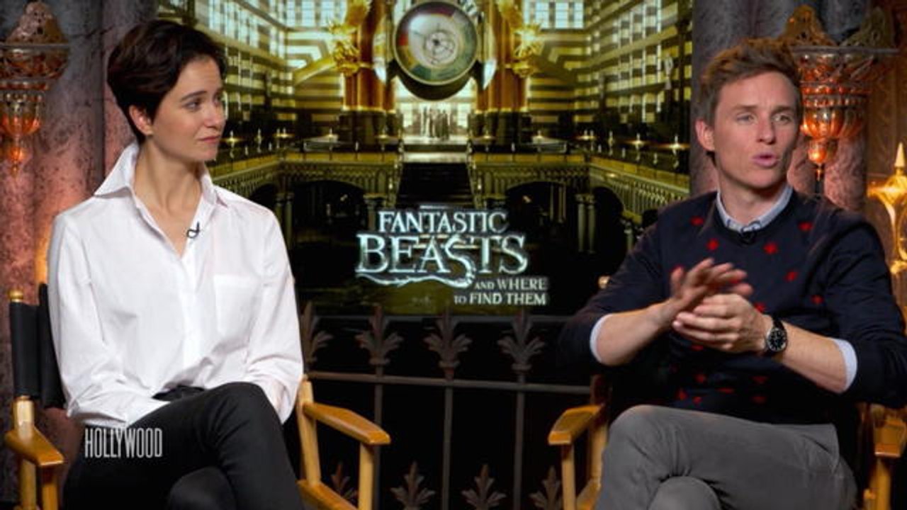 Les Animaux Fantastiques, un parfait melange de familier et d'inedit pour Katherine Waterston - Le journal du cinema