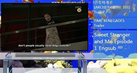 토토솔루션입니다.올자동입니다. 카톡haricuty스카이프haricuty