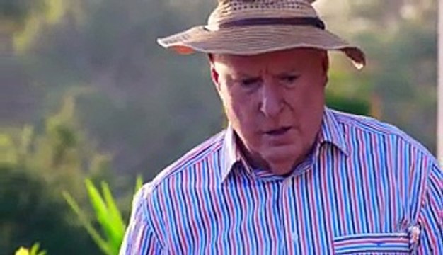 Home and Away 6556 22nd November 2016