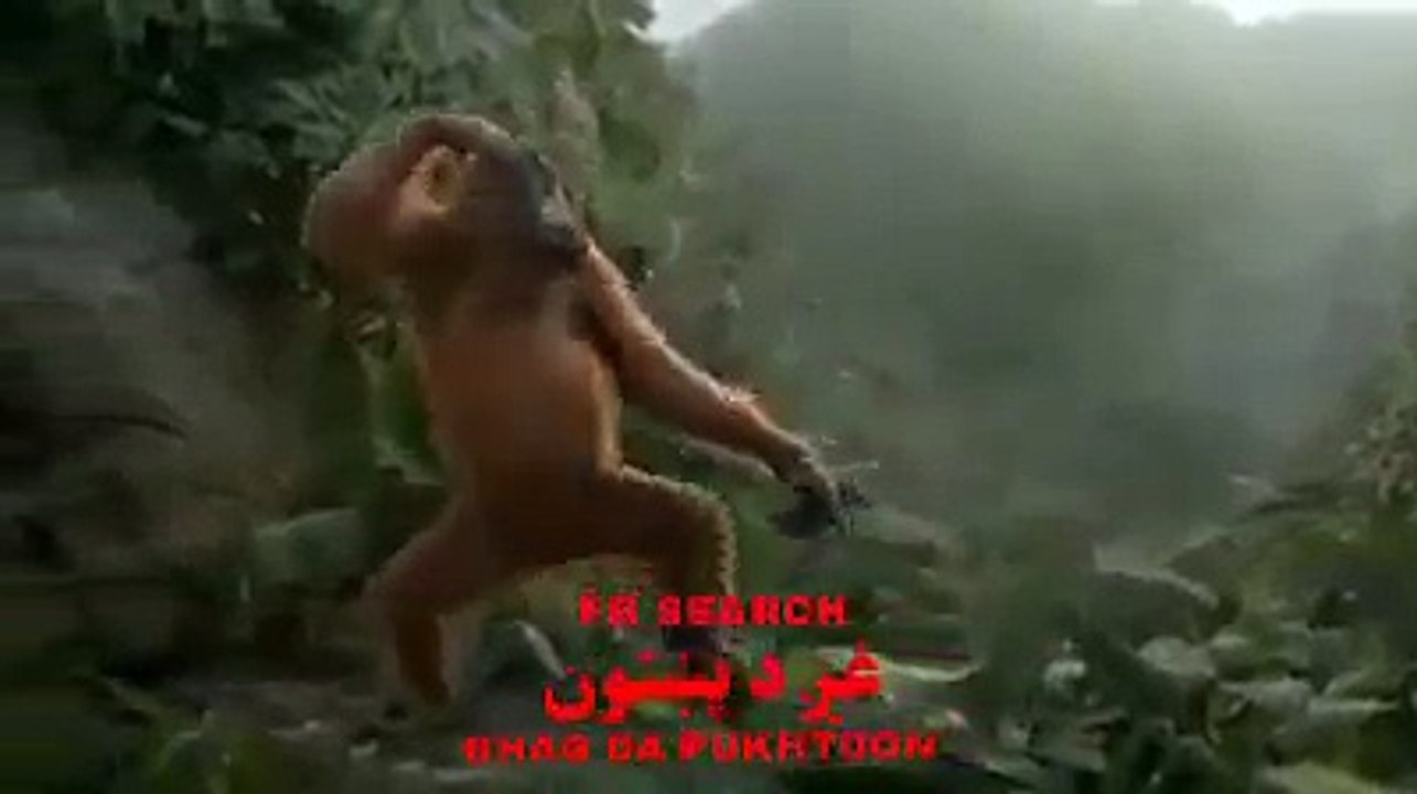 Pashto Dubbing songs