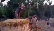 Pashto very funny video babagan mast shawi di Pathan old men fun